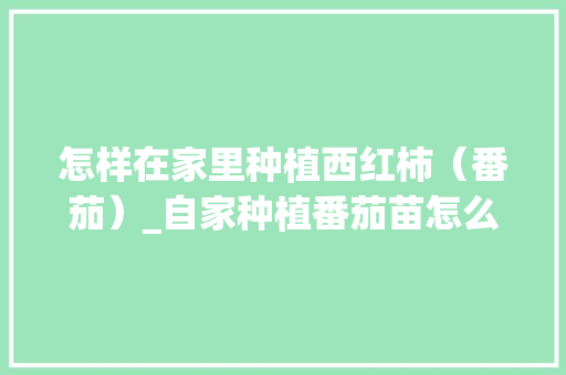 怎样在家里种植西红柿（番茄）_自家种植番茄苗怎么种植视频 怎样在家里种植西红柿（番茄）_自家种植番茄苗怎么种植视频 植物种类