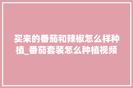 买来的番茄和辣椒怎么样种植_番茄套装怎么种植视频 买来的番茄和辣椒怎么样种植_番茄套装怎么种植视频 土壤施肥
