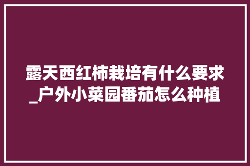 露天西红柿栽培有什么要求_户外小菜园番茄怎么种植视频 露天西红柿栽培有什么要求_户外小菜园番茄怎么种植视频 番茄种植技巧