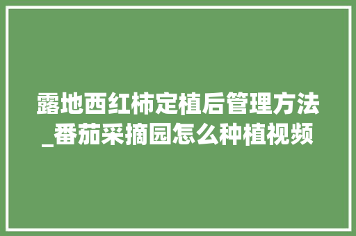 露地西红柿定植后管理方法_番茄采摘园怎么种植视频 露地西红柿定植后管理方法_番茄采摘园怎么种植视频 种植技巧