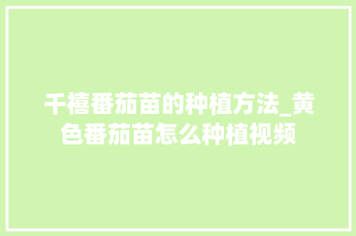 千禧番茄苗的种植方法_黄色番茄苗怎么种植视频 千禧番茄苗的种植方法_黄色番茄苗怎么种植视频 番茄种植技巧