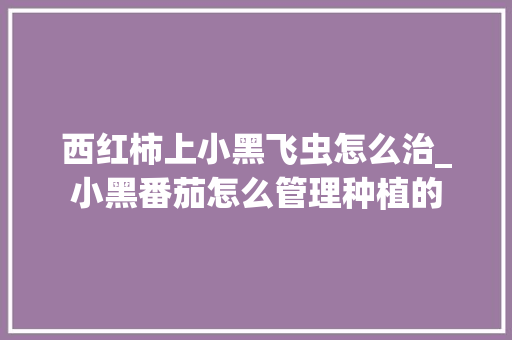 西红柿上小黑飞虫怎么治_小黑番茄怎么管理种植的 西红柿上小黑飞虫怎么治_小黑番茄怎么管理种植的 土壤施肥