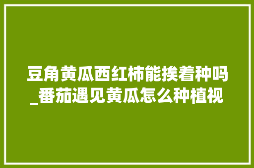 豆角黄瓜西红柿能挨着种吗_番茄遇见黄瓜怎么种植视频 豆角黄瓜西红柿能挨着种吗_番茄遇见黄瓜怎么种植视频 花朵知识