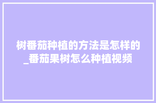 树番茄种植的方法是怎样的_番茄果树怎么种植视频 树番茄种植的方法是怎样的_番茄果树怎么种植视频 番茄种植技巧