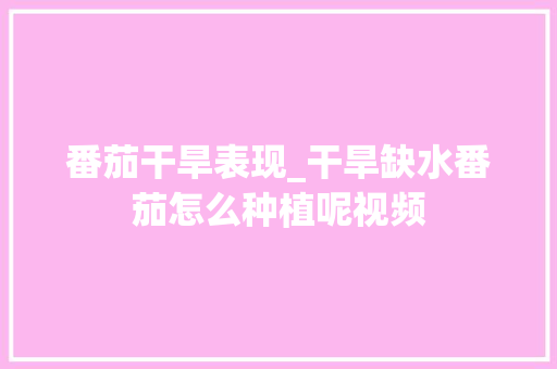 番茄干旱表现_干旱缺水番茄怎么种植呢视频