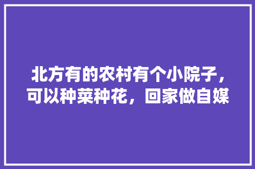 北方有的农村有个小院子，可以种菜种花，回家做自媒体怎么样啊_室内蔬菜种植技巧视频教程 北方有的农村有个小院子，可以种菜种花，回家做自媒体怎么样啊_室内蔬菜种植技巧视频教程 种植技巧