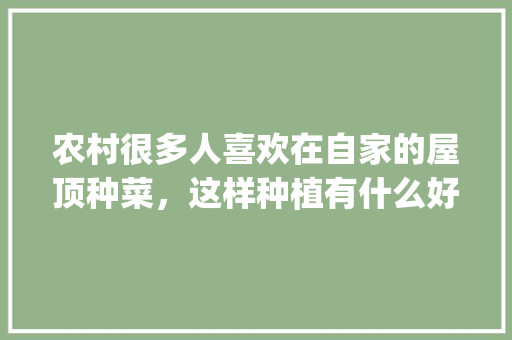 农村很多人喜欢在自家的屋顶种菜，这样种植有什么好处呢_房顶菜园设计效果图