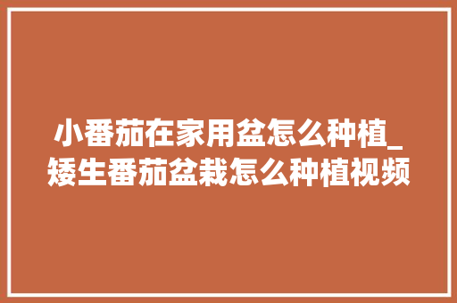 小番茄在家用盆怎么种植_矮生番茄盆栽怎么种植视频 小番茄在家用盆怎么种植_矮生番茄盆栽怎么种植视频 土壤施肥