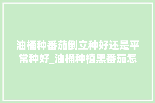 油桶种番茄倒立种好还是平常种好_油桶种植黑番茄怎么种植的 油桶种番茄倒立种好还是平常种好_油桶种植黑番茄怎么种植的 植物种类