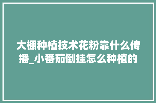 大棚种植技术花粉靠什么传播_小番茄倒挂怎么种植的视频 大棚种植技术花粉靠什么传播_小番茄倒挂怎么种植的视频 农业常识
