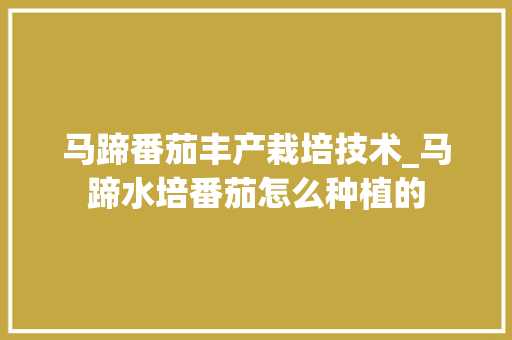 马蹄番茄丰产栽培技术_马蹄水培番茄怎么种植的