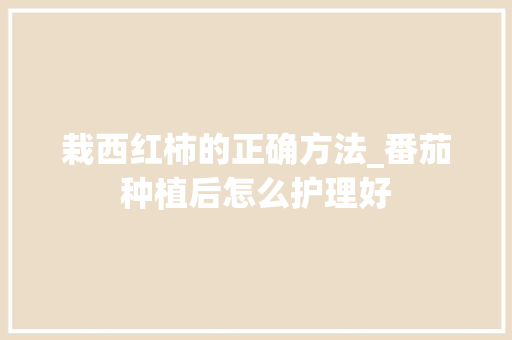栽西红柿的正确方法_番茄种植后怎么护理好 栽西红柿的正确方法_番茄种植后怎么护理好 种植技巧
