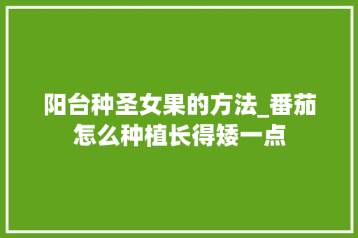 阳台种圣女果的方法_番茄怎么种植长得矮一点 阳台种圣女果的方法_番茄怎么种植长得矮一点 植物种类