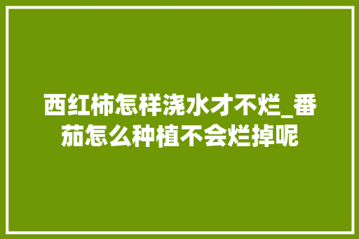 西红柿怎样浇水才不烂_番茄怎么种植不会烂掉呢 西红柿怎样浇水才不烂_番茄怎么种植不会烂掉呢 农业常识
