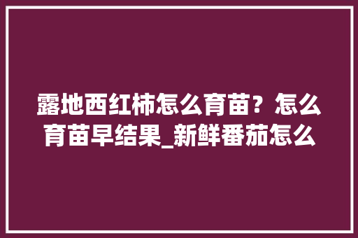 露地西红柿怎么育苗?怎么育苗早结果_新鲜番茄怎么种植方法 花朵知识 露地西红柿怎么育苗?怎么育苗早结果_新鲜番茄怎么种植方法 露地西红柿怎么育苗?怎么育苗早结果_新鲜番茄怎么种植方法 花朵知识