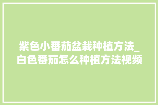 紫色小番茄盆栽种植方法_白色番茄怎么种植方法视频 紫色小番茄盆栽种植方法_白色番茄怎么种植方法视频 番茄病虫害防治