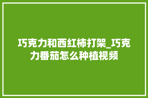 巧克力和西红柿打架_巧克力番茄怎么种植视频