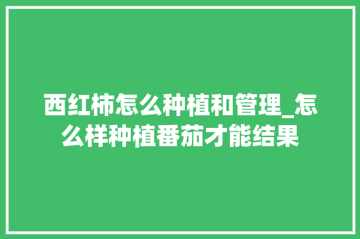 西红柿怎么种植和管理_怎么样种植番茄才能结果