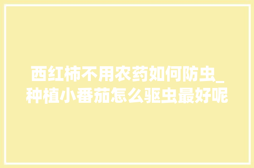 西红柿不用农药如何防虫_种植小番茄怎么驱虫最好呢 西红柿不用农药如何防虫_种植小番茄怎么驱虫最好呢 花朵知识