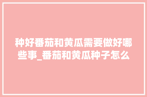 种好番茄和黄瓜需要做好哪些事_番茄和黄瓜种子怎么种植视频