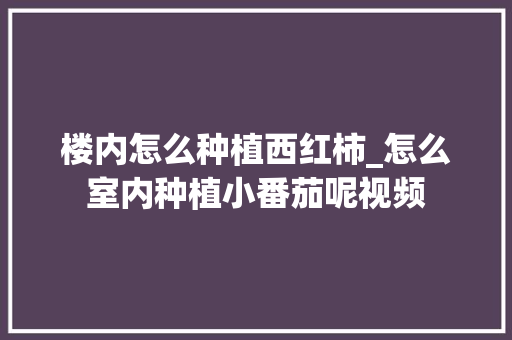 楼内怎么种植西红柿_怎么室内种植小番茄呢视频 楼内怎么种植西红柿_怎么室内种植小番茄呢视频 番茄种植技巧