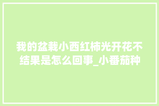 我的盆栽小西红柿光开花不结果是怎么回事_小番茄种植怎么不开花呢