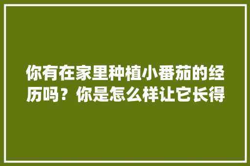 你有在家里种植小番茄的经历吗？你是怎么样让它长得更好的_黑小番茄怎么种植的视频 你有在家里种植小番茄的经历吗？你是怎么样让它长得更好的_黑小番茄怎么种植的视频 花朵知识