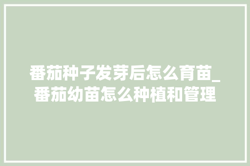 番茄种子发芽后怎么育苗_番茄幼苗怎么种植和管理 番茄种子发芽后怎么育苗_番茄幼苗怎么种植和管理 番茄种植技巧