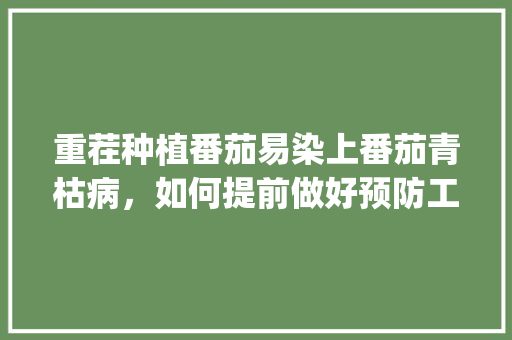 重茬种植番茄易染上番茄青枯病，如何提前做好预防工作_种植番茄重茬怎么解决问题 重茬种植番茄易染上番茄青枯病，如何提前做好预防工作_种植番茄重茬怎么解决问题 种植技巧