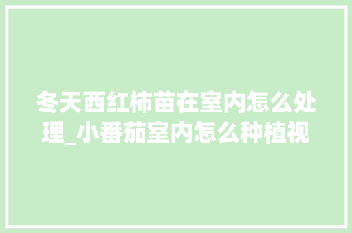 冬天西红柿苗在室内怎么处理_小番茄室内怎么种植视频 冬天西红柿苗在室内怎么处理_小番茄室内怎么种植视频 种植技巧