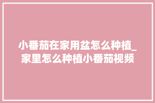 小番茄在家用盆怎么种植_家里怎么种植小番茄视频 小番茄在家用盆怎么种植_家里怎么种植小番茄视频 花朵知识