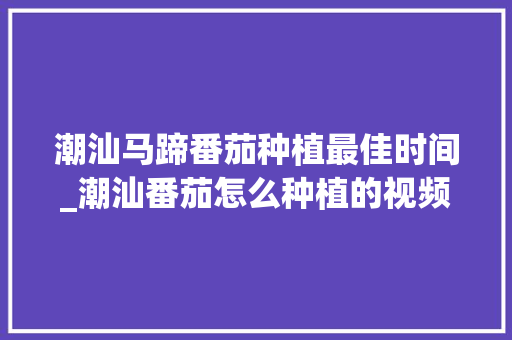 潮汕马蹄番茄种植最佳时间_潮汕番茄怎么种植的视频