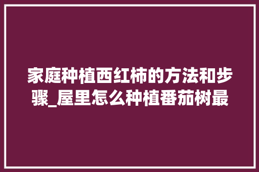 家庭种植西红柿的方法和步骤_屋里怎么种植番茄树最好呢 家庭种植西红柿的方法和步骤_屋里怎么种植番茄树最好呢 土壤施肥