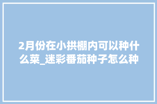 2月份在小拱棚内可以种什么菜_迷彩番茄种子怎么种植的视频