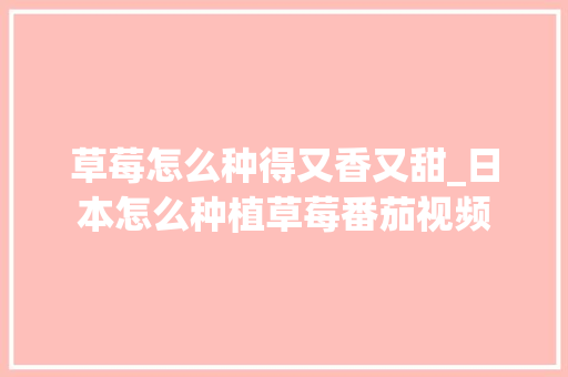 草莓怎么种得又香又甜_日本怎么种植草莓番茄视频 草莓怎么种得又香又甜_日本怎么种植草莓番茄视频 农业常识