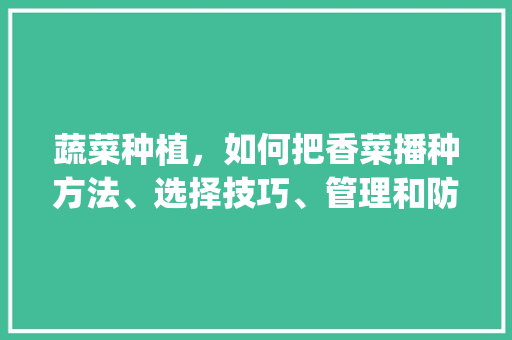 蔬菜种植，如何把香菜播种方法、选择技巧、管理和防治病虫做好呢_新鲜蔬菜种植技巧和方法