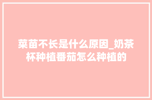 菜苗不长是什么原因_奶茶杯种植番茄怎么种植的 菜苗不长是什么原因_奶茶杯种植番茄怎么种植的 植物种类