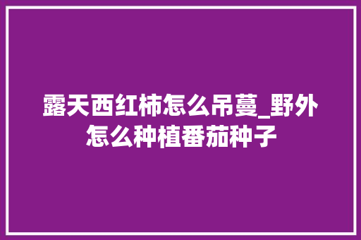 露天西红柿怎么吊蔓_野外怎么种植番茄种子