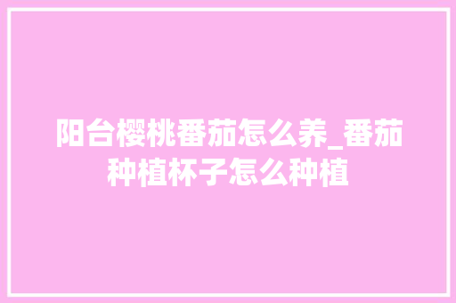 阳台樱桃番茄怎么养_番茄种植杯子怎么种植 阳台樱桃番茄怎么养_番茄种植杯子怎么种植 番茄种植技巧
