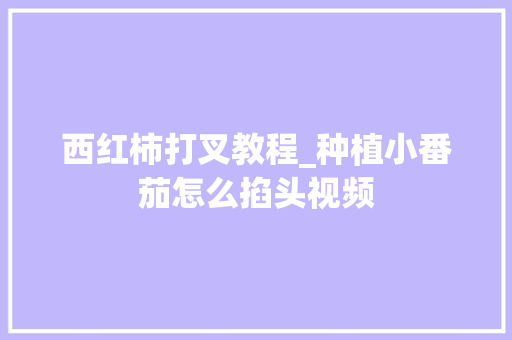 西红柿打叉教程_种植小番茄怎么掐头视频
