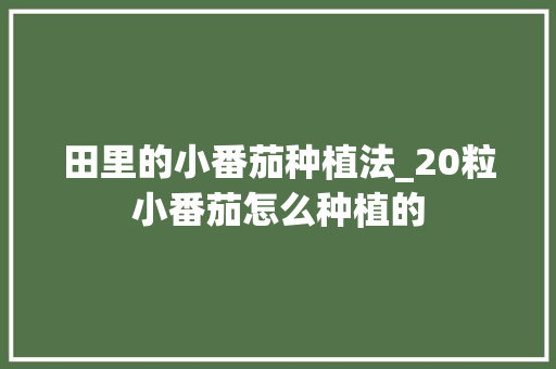 田里的小番茄种植法_20粒小番茄怎么种植的 田里的小番茄种植法_20粒小番茄怎么种植的 种植技巧