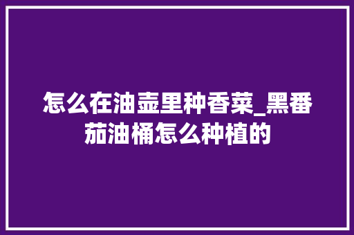 怎么在油壶里种香菜_黑番茄油桶怎么种植的 怎么在油壶里种香菜_黑番茄油桶怎么种植的 土壤施肥