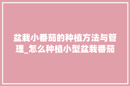 盆栽小番茄的种植方法与管理_怎么种植小型盆栽番茄苗视频 番茄种植技巧 盆栽小番茄的种植方法与管理_怎么种植小型盆栽番茄苗视频 盆栽小番茄的种植方法与管理_怎么种植小型盆栽番茄苗视频 番茄种植技巧