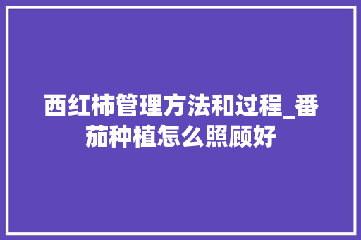 西红柿管理方法和过程_番茄种植怎么照顾好 西红柿管理方法和过程_番茄种植怎么照顾好 农业常识