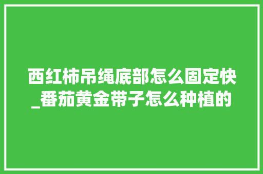 西红柿吊绳底部怎么固定快_番茄黄金带子怎么种植的视频 西红柿吊绳底部怎么固定快_番茄黄金带子怎么种植的视频 番茄种植技巧