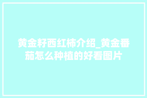 黄金籽西红柿介绍_黄金番茄怎么种植的好看图片 黄金籽西红柿介绍_黄金番茄怎么种植的好看图片 农业常识