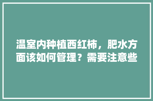 温室内种植西红柿，肥水方面该如何管理？需要注意些什么_暖棚番茄怎么种植视频 温室内种植西红柿，肥水方面该如何管理？需要注意些什么_暖棚番茄怎么种植视频 植物种类