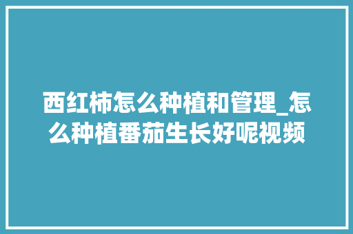 西红柿怎么种植和管理_怎么种植番茄生长好呢视频 西红柿怎么种植和管理_怎么种植番茄生长好呢视频 花朵知识