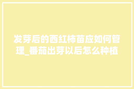 发芽后的西红柿苗应如何管理_番茄出芽以后怎么种植呢视频 发芽后的西红柿苗应如何管理_番茄出芽以后怎么种植呢视频 番茄病虫害防治
