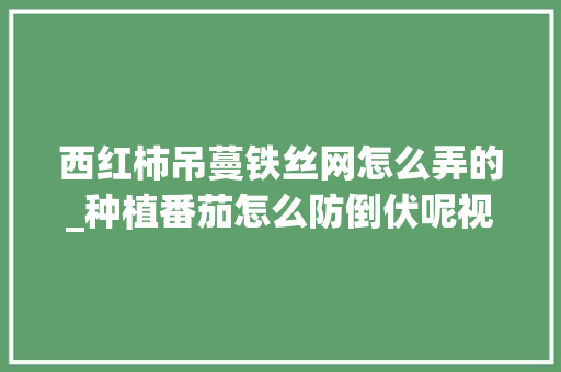 西红柿吊蔓铁丝网怎么弄的_种植番茄怎么防倒伏呢视频 西红柿吊蔓铁丝网怎么弄的_种植番茄怎么防倒伏呢视频 农业常识